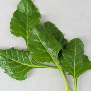 اسفناج پرپچوال