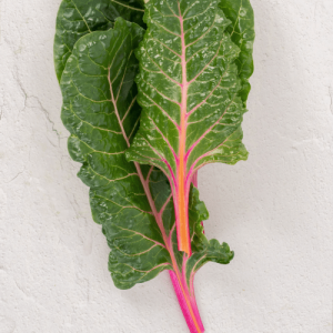 چغندر برگی صورتی