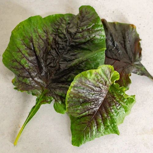 آمارانت قرمز