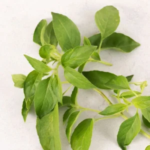 ریحان لیمویی