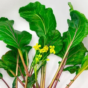 هون تسای تای