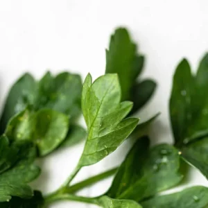 جعفری ایتالیایی