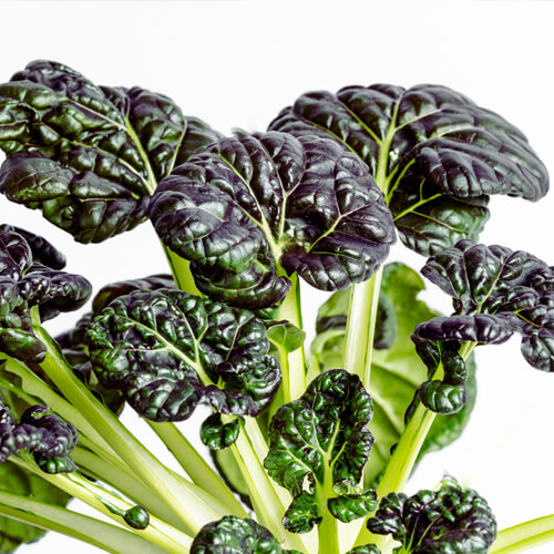 تاتسوی قرمز