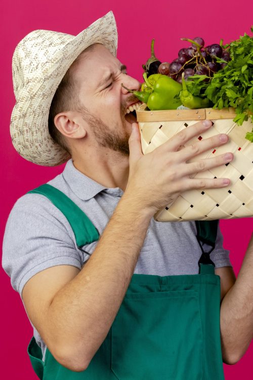 young handsome slavic gardener in uniform and hat holding and biting basket of vegetables isolated on crimson background with copy space SSUCv3H4sIAAAAAAAACpyRy47DIAxF9yPNP0SsGynPRumvVLNwgCSoFCoeMxpV/fcxECrWs8PH9rWveX5+VBVZwApKLtUzRBgLKb11BpzQCnFzOrjhinFTEs6E00aALOECju4K7hyh8lIG/IpJYh04b7kNww5EwfENNRJ8S6SNrimuciImsQNThJwKZv0SWUZJ/F+d6fGV3cDGFf2NCxdGDJcckpFrKiW3H8fNvbQGnglduPrWFGQo6AulhxFUqK1o026PV85tVHvlTFjhvTmRWj9gkeHEK2ryzHewFstZ5sUgin+q78UcpV00cKgShj8Rwrbvhrmbp6aZx/PUt+N0FKTf2wXqxHWyEMb0JlhpXYQNyMhWWM/A6glaqIeumWp8NDVvuqUf6DJ284CHf/0BAAD//wMAU3Jjf4cCAAA=