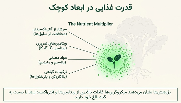 ارزش غذایی میکروگرین