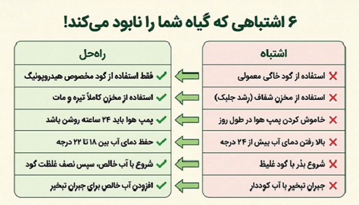 اشتباهات رایج در کشت هیدروپونیک خانگی