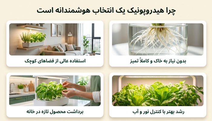 اهمیت خرید هیدروپونیک خانگی