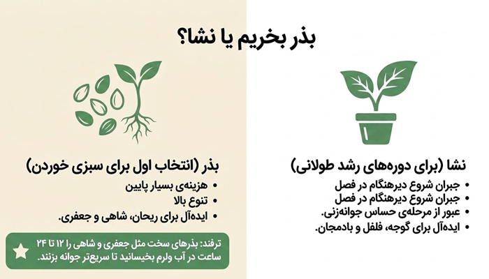 بذر برای خانه بهتر است یا نشا؟