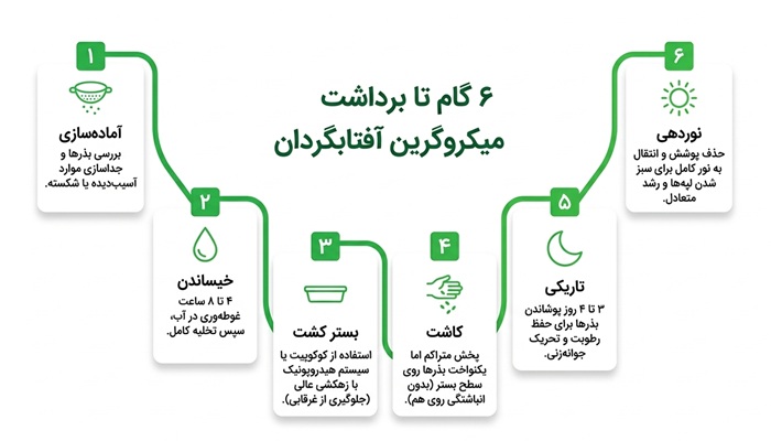 روش کاشت بذر آفتابگردان