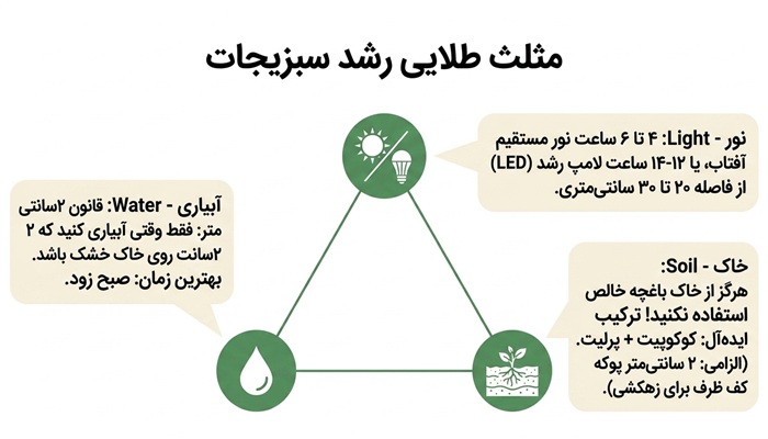 عوامل رشد سبزیجات