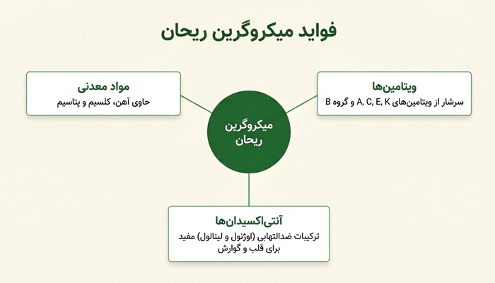 فواید میکروگرین ریحان