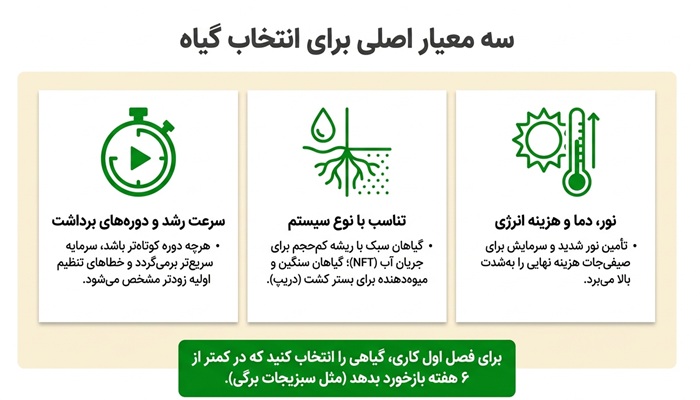 معیارهای انتخاب بهترین گیاه برای کشت هیدروپونیک
