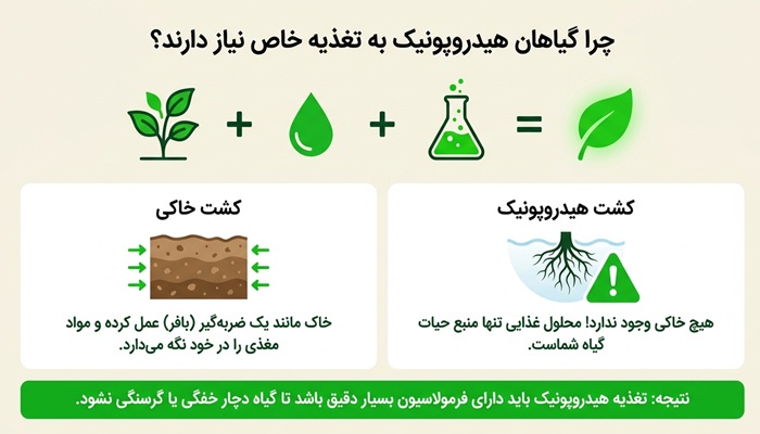 مواد غذایی رشد گیاه در هدروپونیک