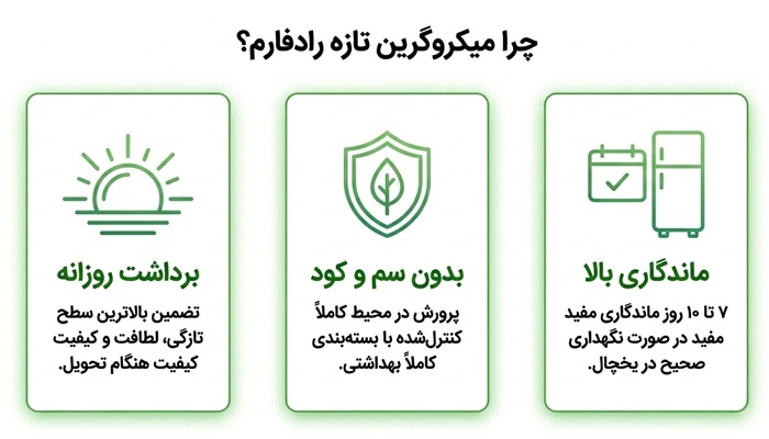 چرا خرید میکروگرین تازه رادفارم