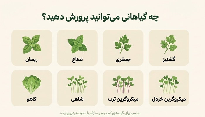 چه گیاهانی برای نانوپونیک مناسب‌اند؟